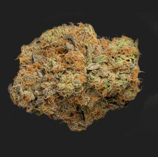 Fleurs De Lise Medellin