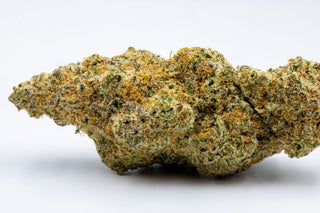 Unit 15 - Frosted Cakes