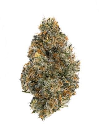 Northern Canna Frosted Tiger Nuts