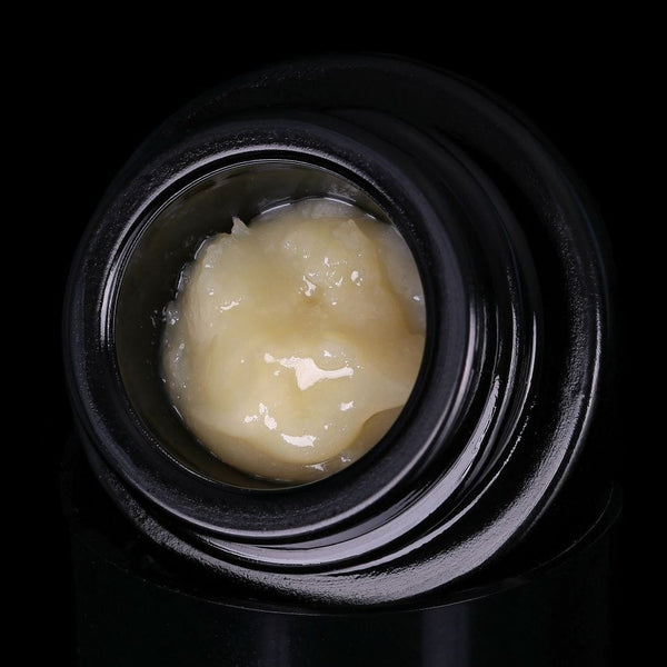 Sauce Rosin Labs GovernMint Oasis 1g Live Rosin
