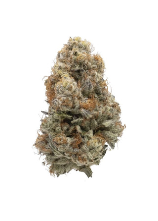 Northern Canna Galactic Guava