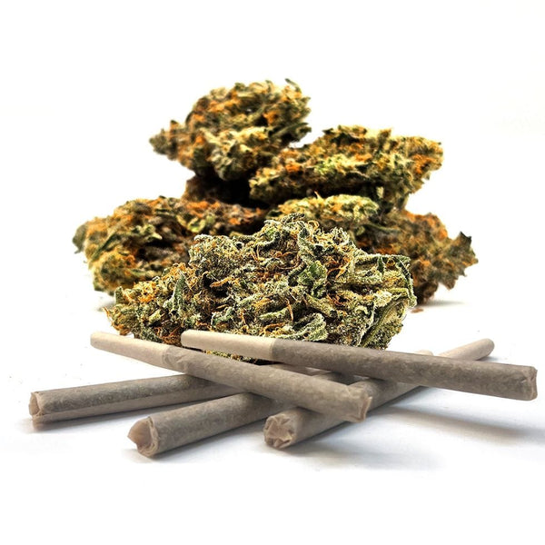 MTL Cannabis - Gas n' Up Pre-Rolls