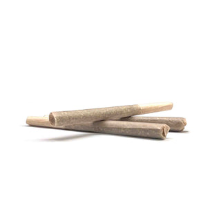 MTL Cannabis Jungl' Cake PreRoll