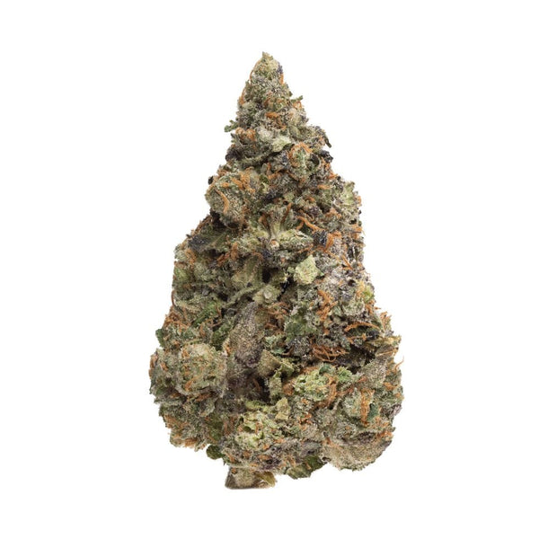 Homestead - White Runtz