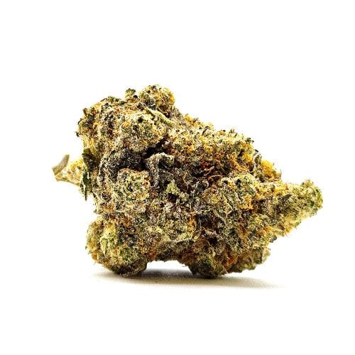 MTL Craft - Tentazione