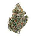 TGOD Harmony CBD Skunk Haze [NB]